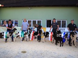 2019_ausstellung polling_865